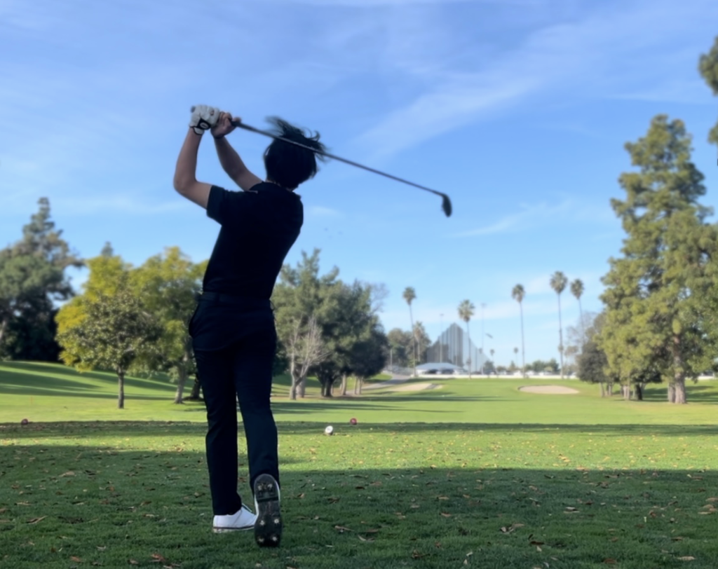 Remote Control Electric Golf Trolley