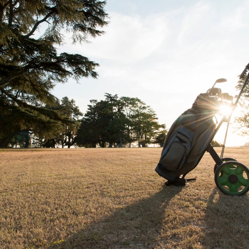 Compact three-wheel golf trolley on narrow course path