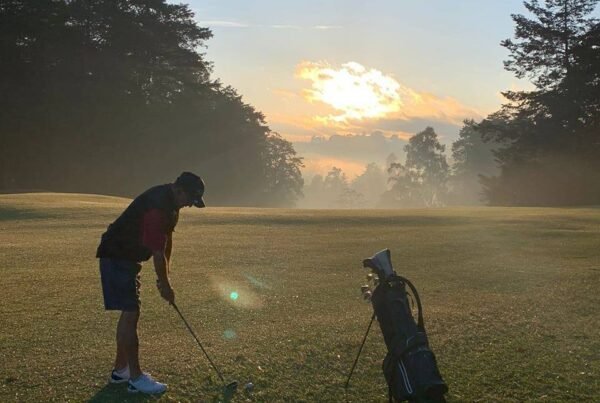 remote control electric golf trolley